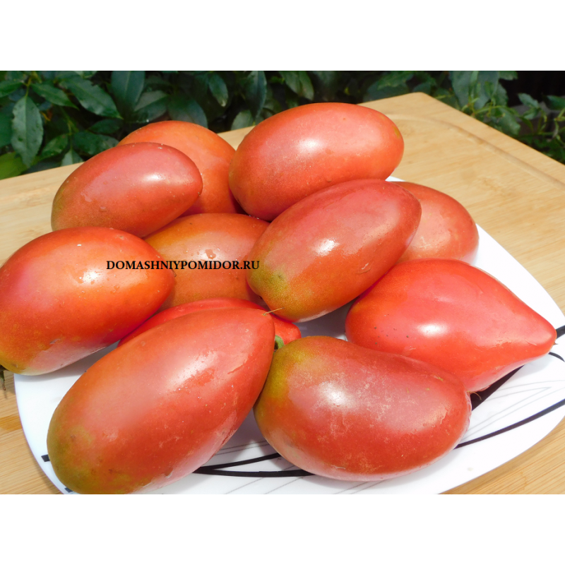 Гном Альмандин ( Dwarf Almandine, США, Австралия)
